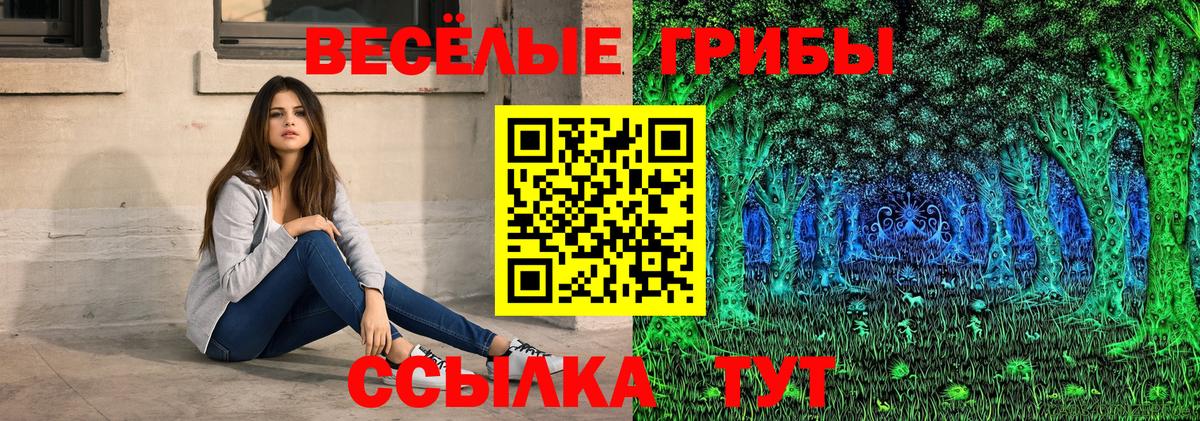 Галлюциногенные грибы GOLDEN TEACHER  Вход с VPN  магазин    Галлюциногенные грибы прущие грибы  Краснодар 