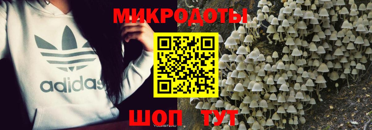 Галлюциногенные грибы GOLDEN TEACHER Краснодар